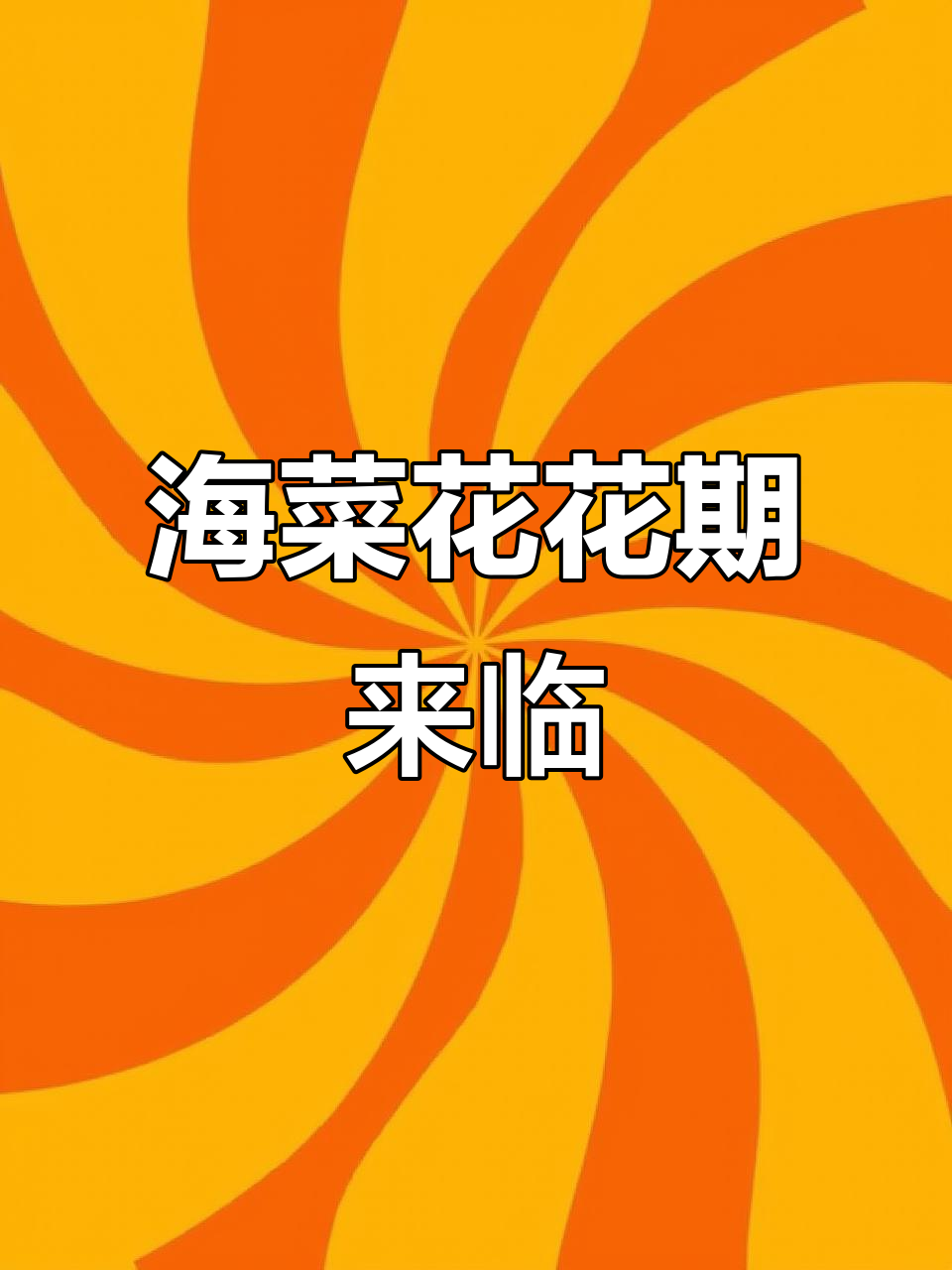 广西澄江海菜花盛开,美景如画
