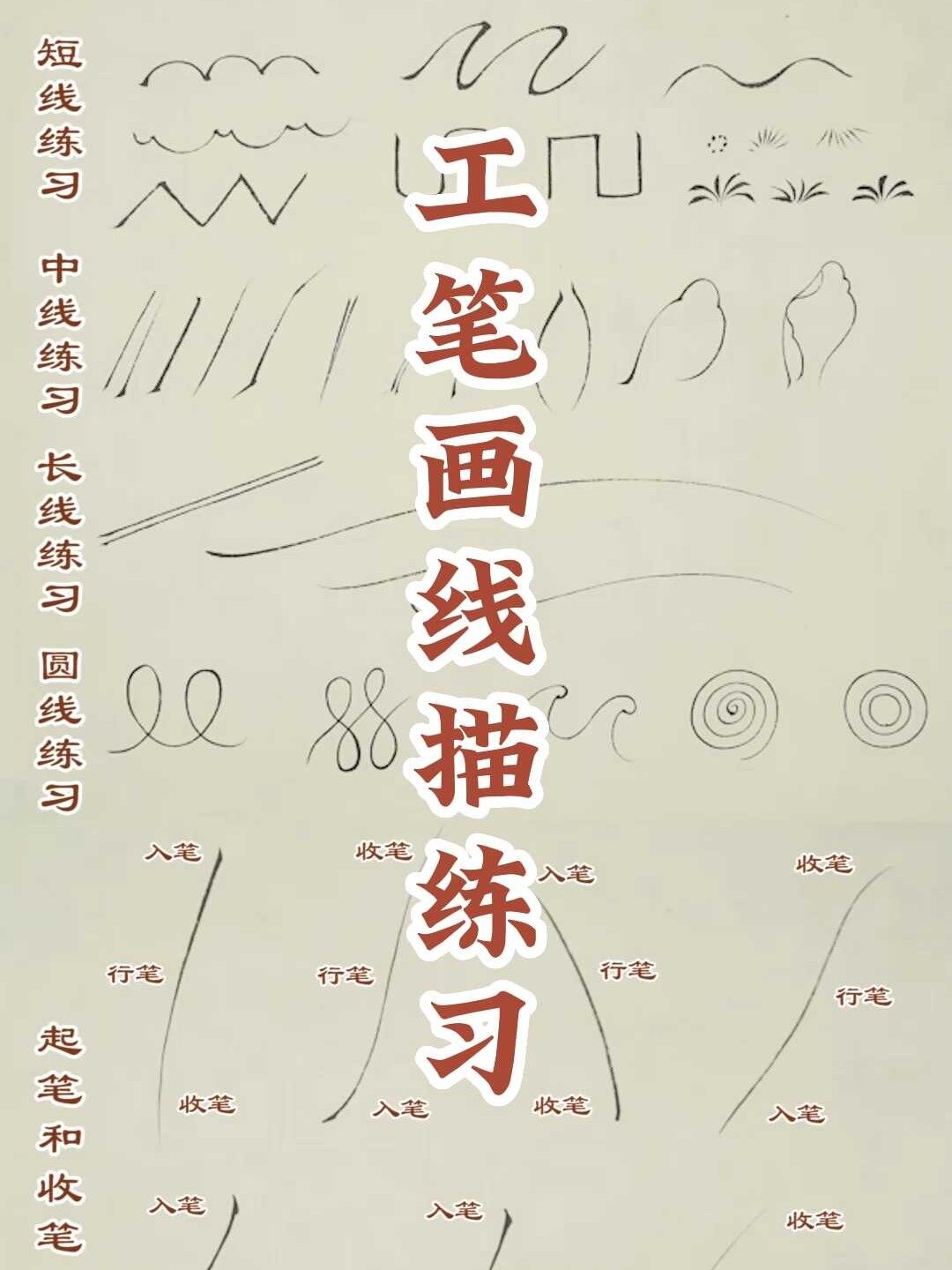 工笔画|白描|如何正确学习线描