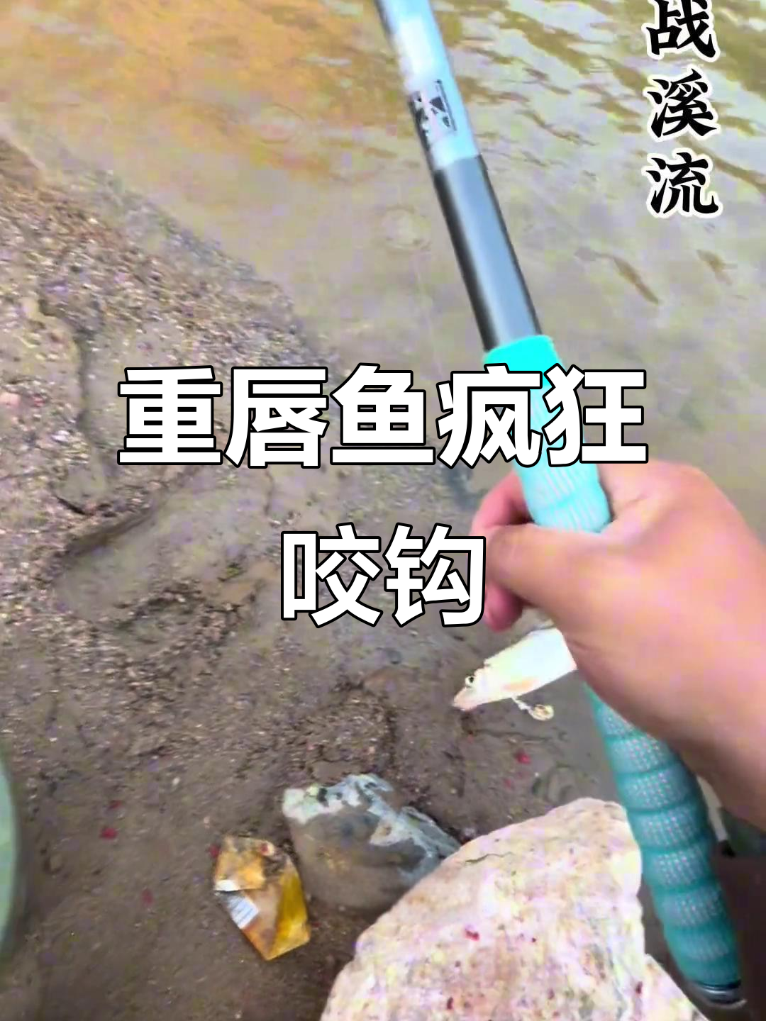 溪流钓连杆,重唇鱼暴躁来袭!