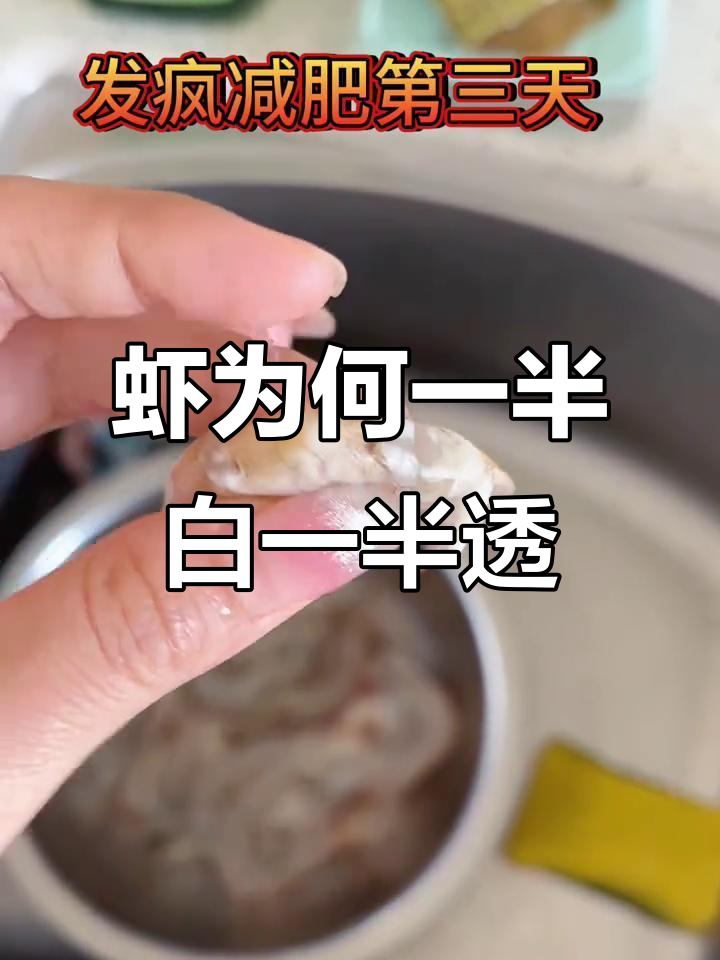 为什么虾上半部分是白色,下半部分却透明?
