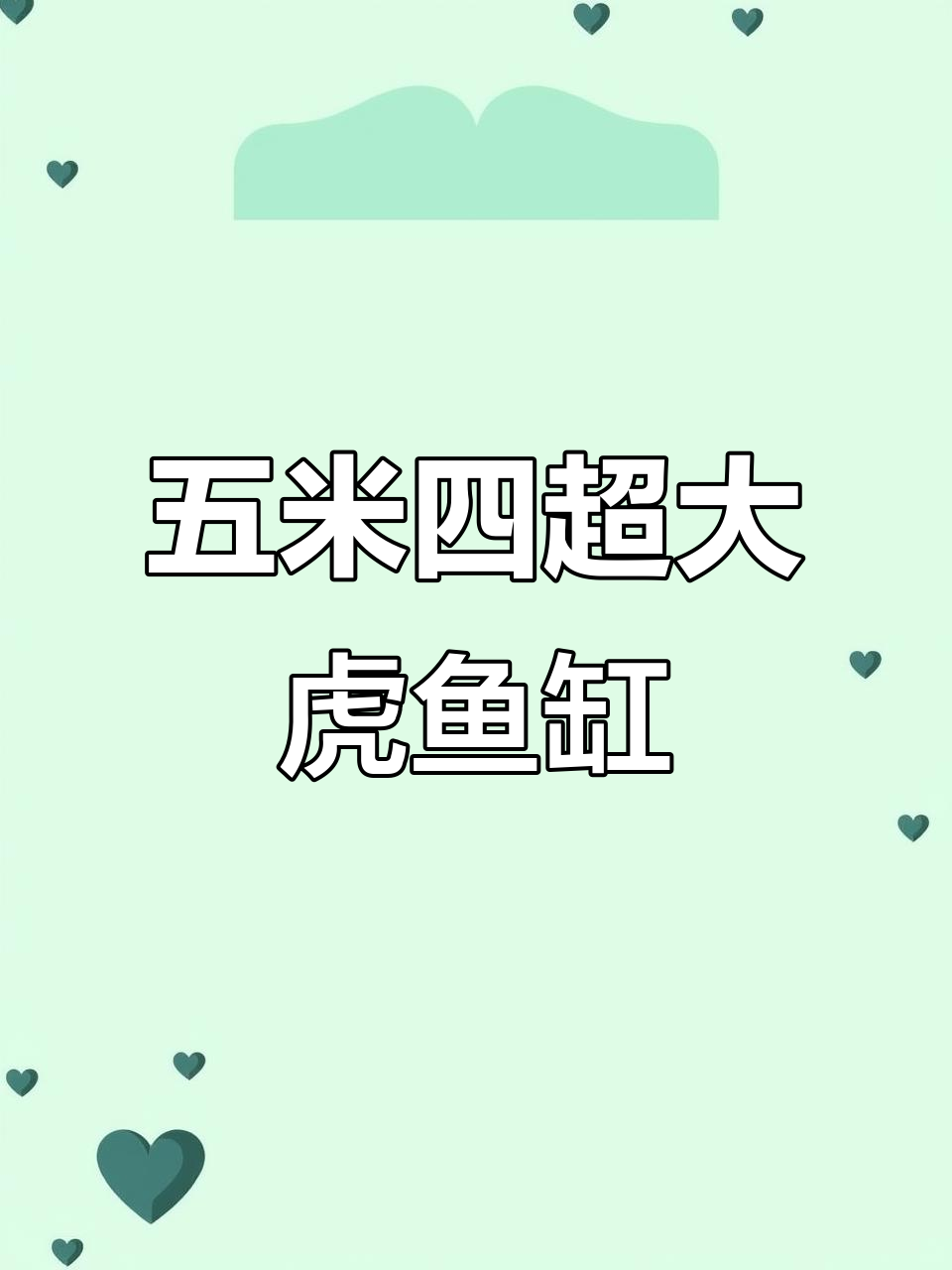 核潜艇般的虎鱼缸,五米四超震撼!