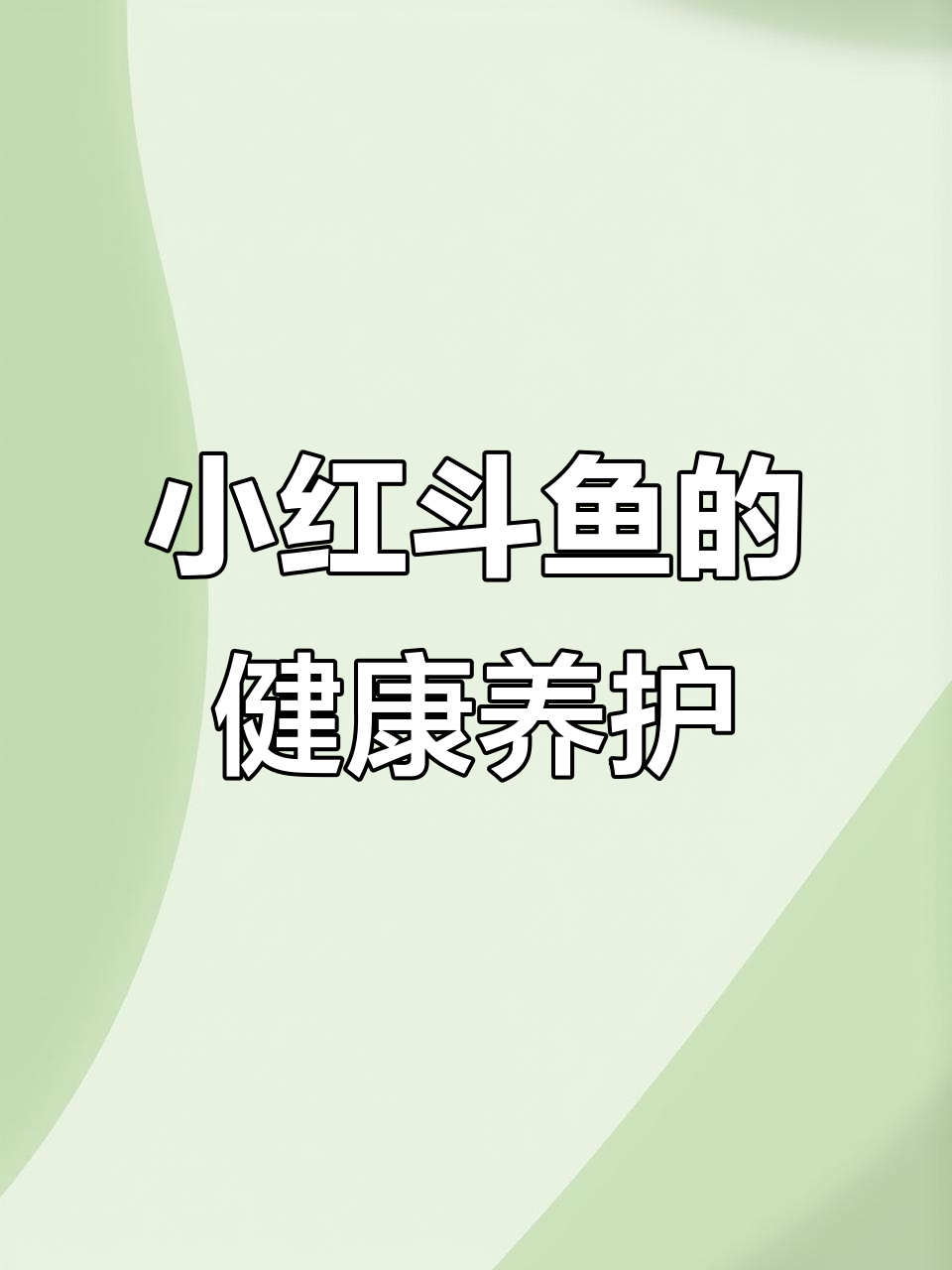 小红斗鱼缸的养护秘诀,水质清澈不烧尾