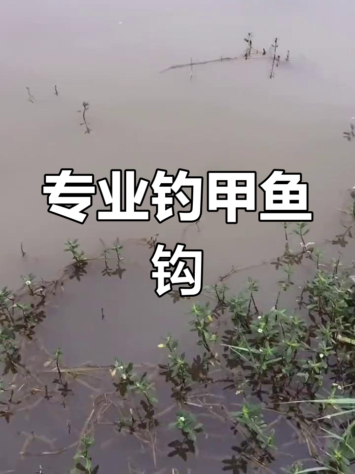 夏季钓甲鱼必备工具,轻松捕获!