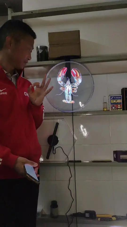 全息小龙虾打破常规,颠覆想象。桌面摆件全息灯箱全息风扇全息广告机 记录真实生活