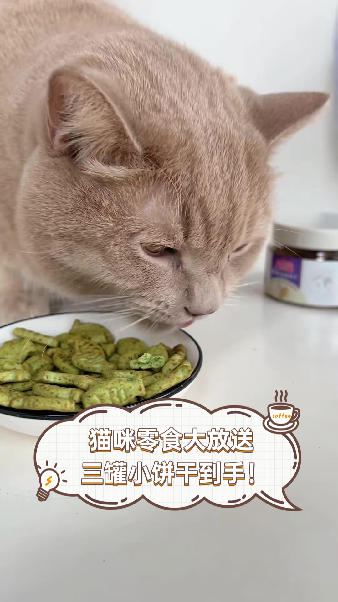 猫咪零食大放送,三罐小饼干到手!