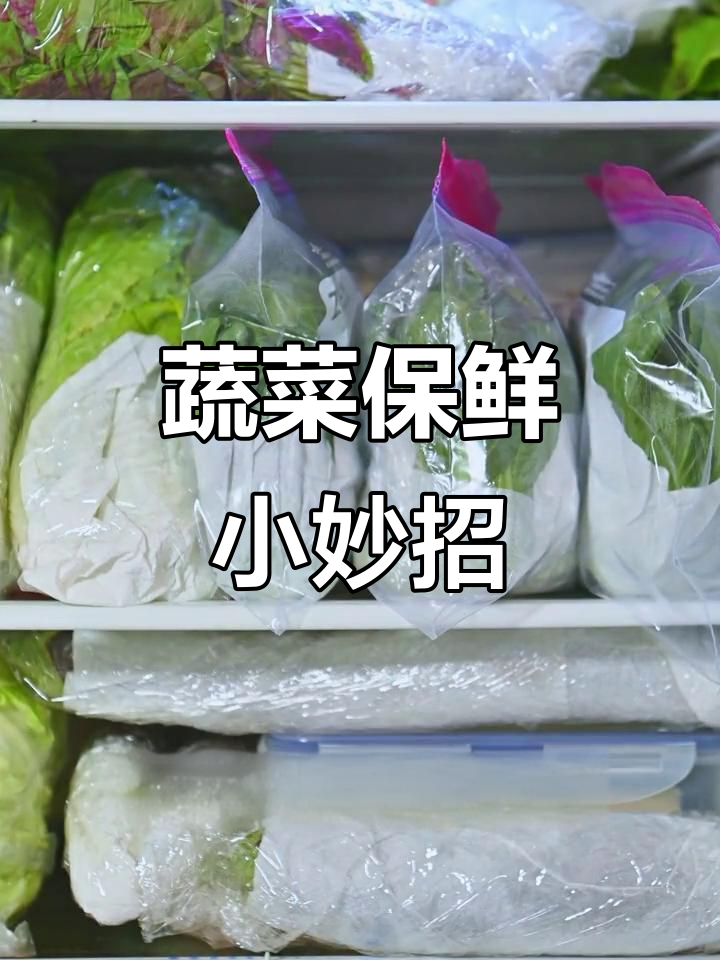如何让绿叶菜保鲜,冰箱储存技巧大公开