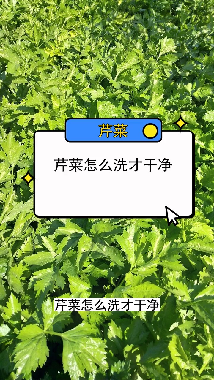 芹菜怎么洗才干净