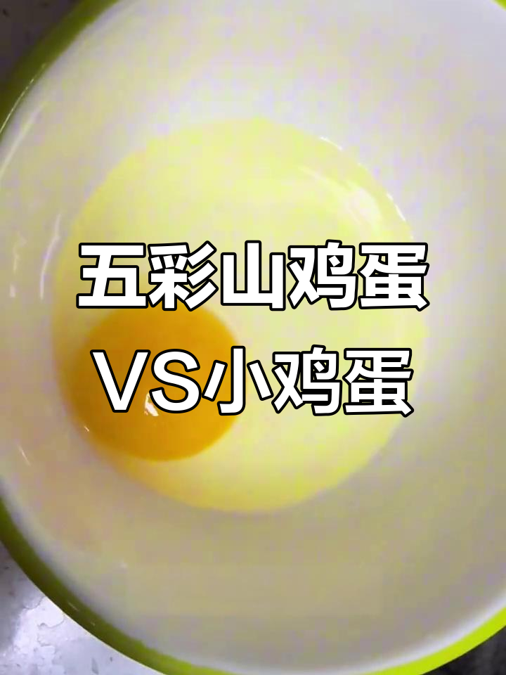 五彩山鸡蛋与普通小鸡蛋的差别,煎蛋金黄诱人