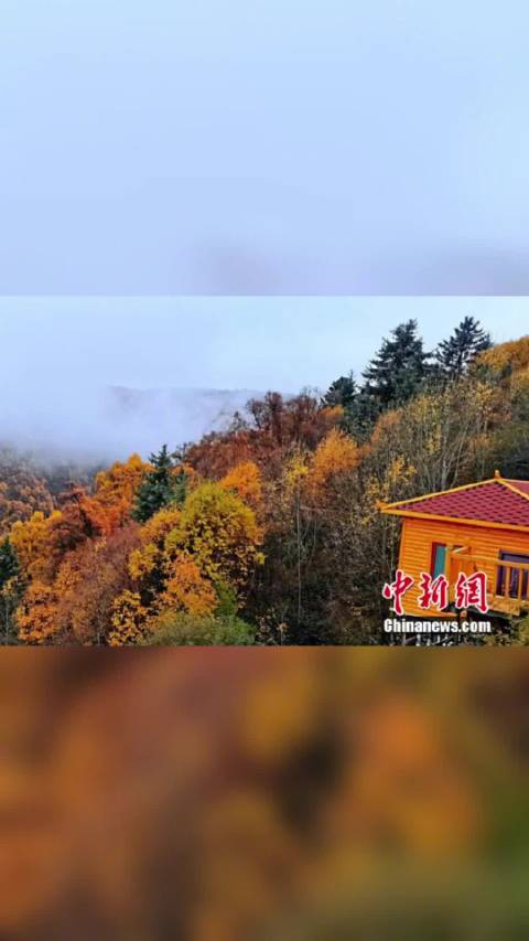 有人喜欢你,就有人讨厌你,但他们都不能定义你。早安!