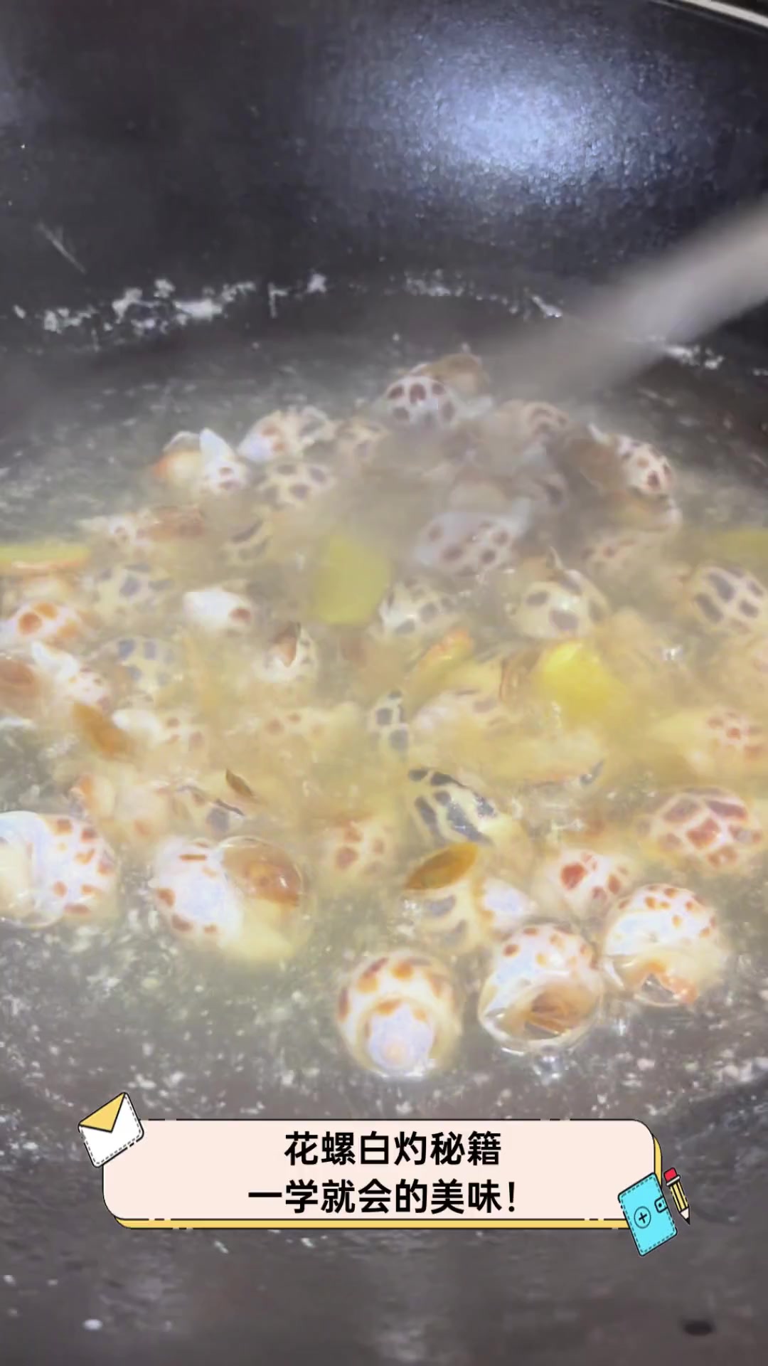 花螺白灼秘籍,一学就会的美味!