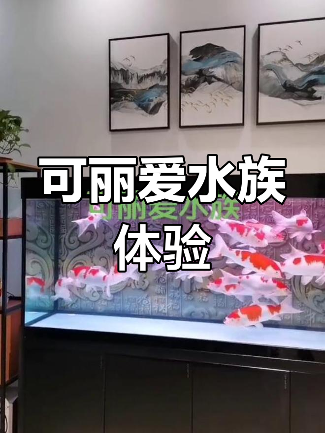 海安奥体尚府西南角,可丽爱水族带你畅游清河世界