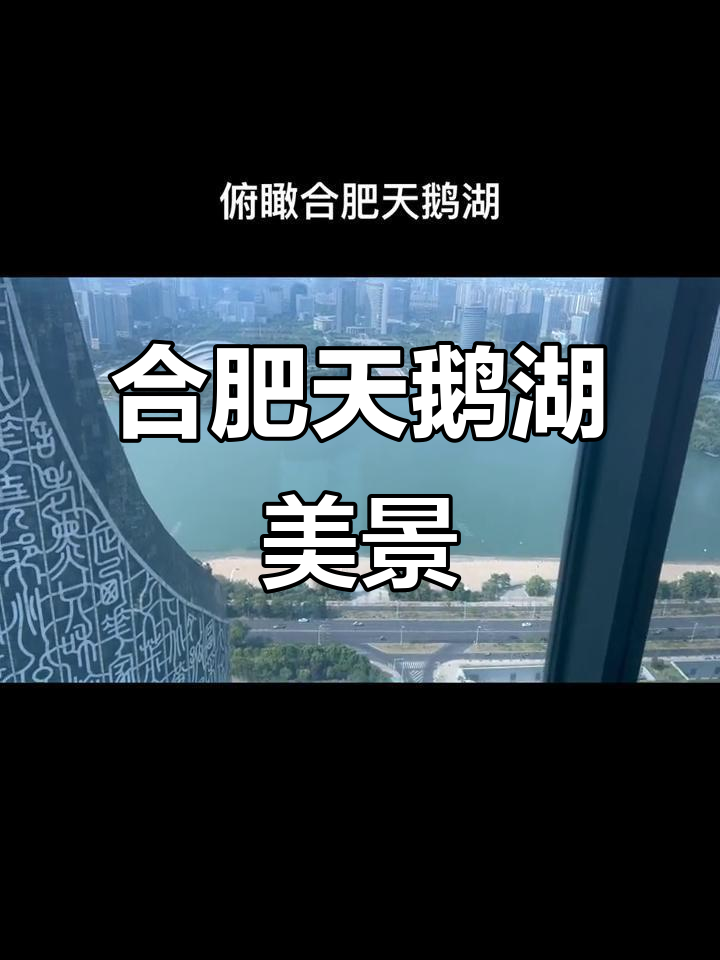 合肥天鹅湖全景展示：从高楼到湖泊的完美俯瞰