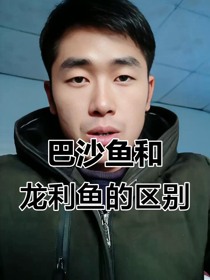 了解巴沙鱼与龙利鱼的营养差异,哪种更适合你?