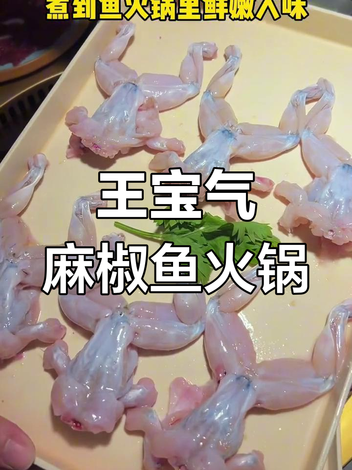 四川王宝器麻椒鱼,千岛湖大鱼头火锅超惊艳!