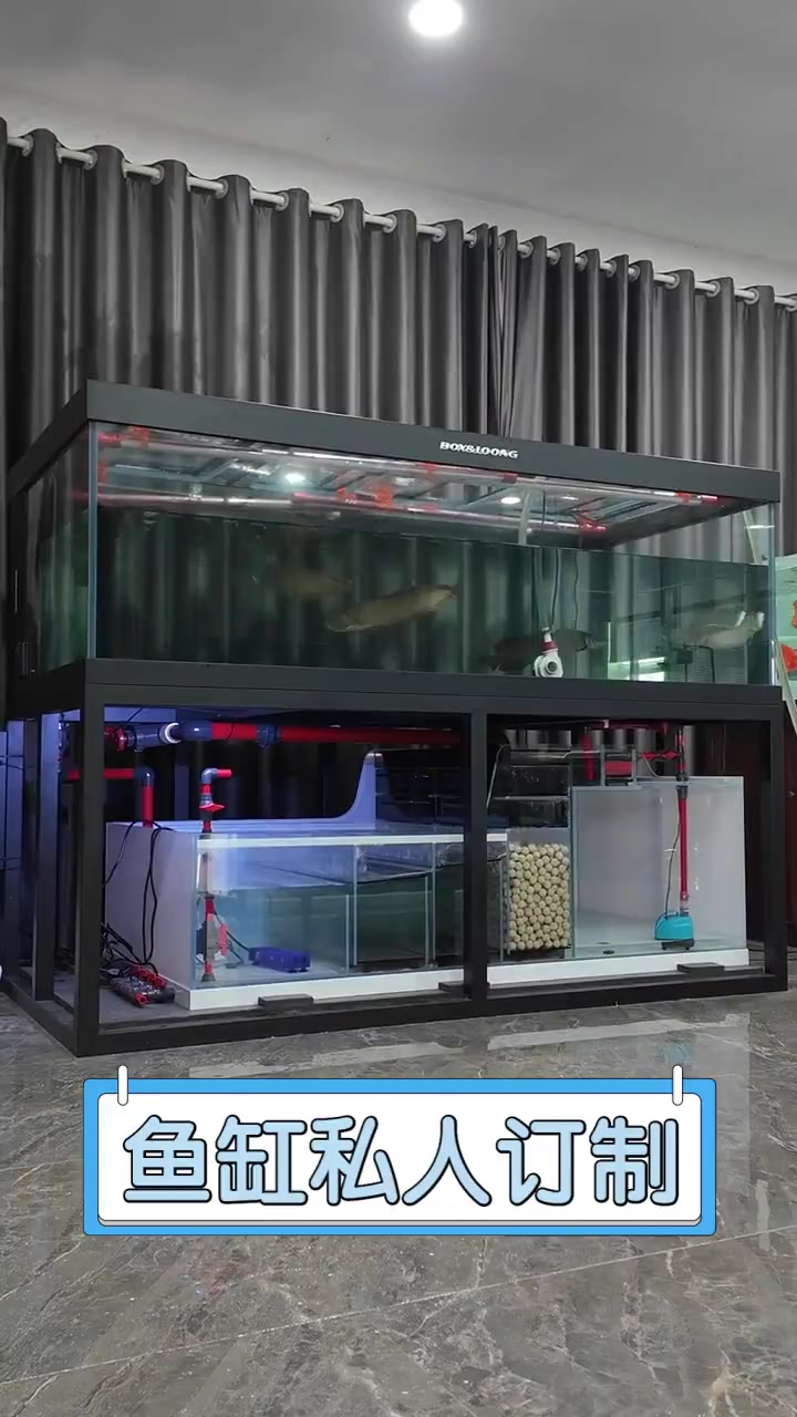 鱼缸私人订制