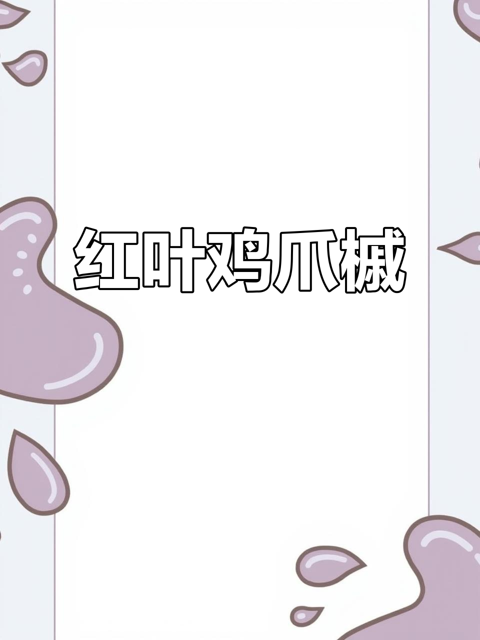 鸡爪槭,红叶小乔木,别名枫树