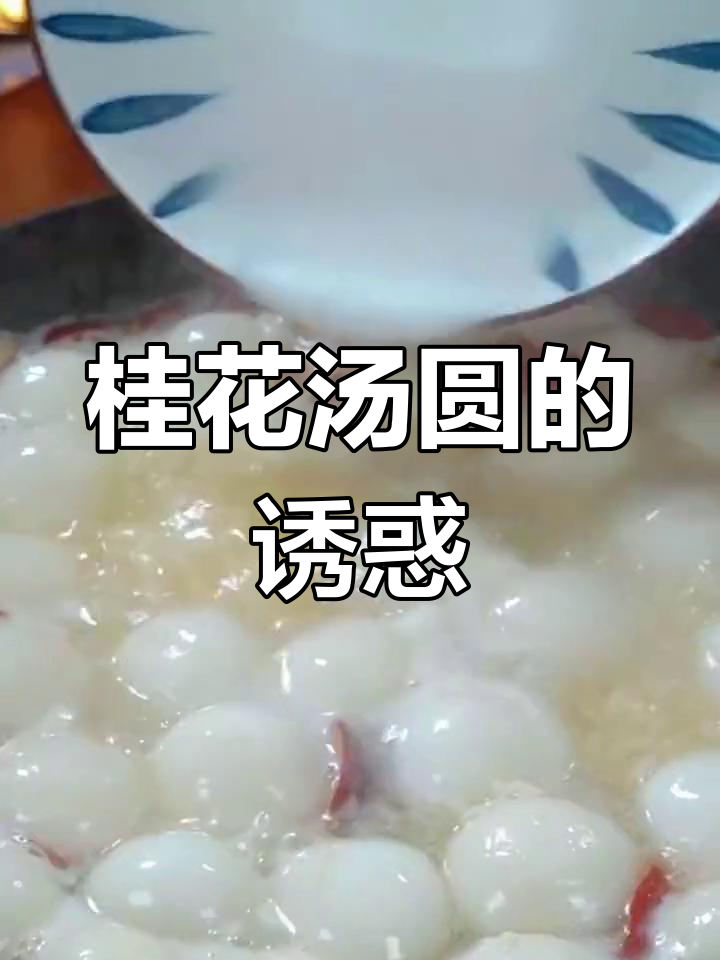 桂花蜜汤圆,老少皆宜,香甜可口,连碗都舍不得洗!
