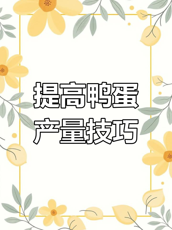 鸭子吃什么能提高产蛋量