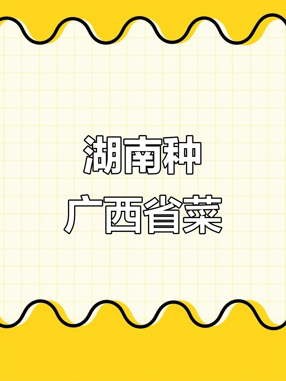 湖南人挑战广西柳叶菜心种植,能成功吗?