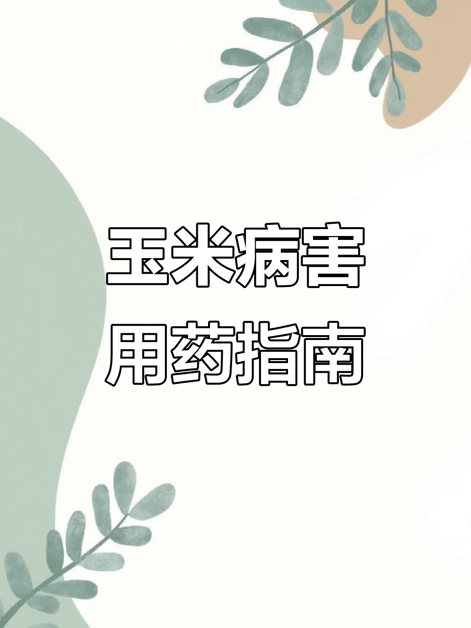 玉米病害全解析:常见病状与防治药物