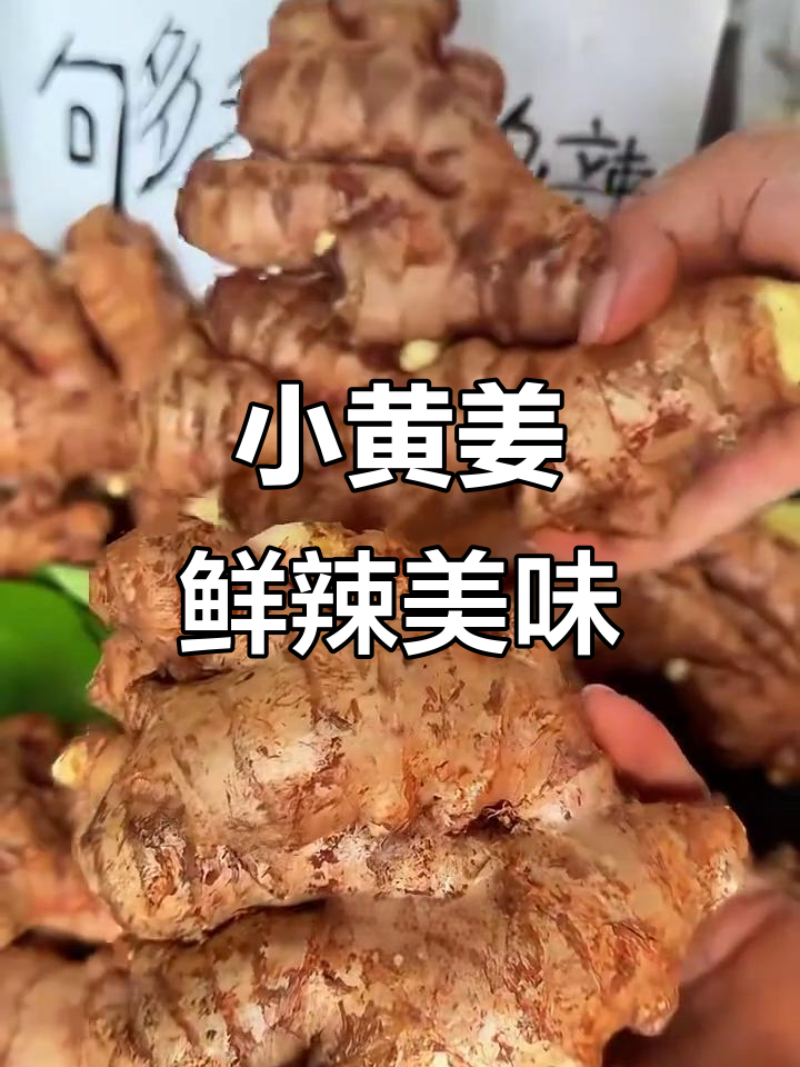 云南小黄姜:新鲜、辛辣,炒菜煮汤必备的天然调味料