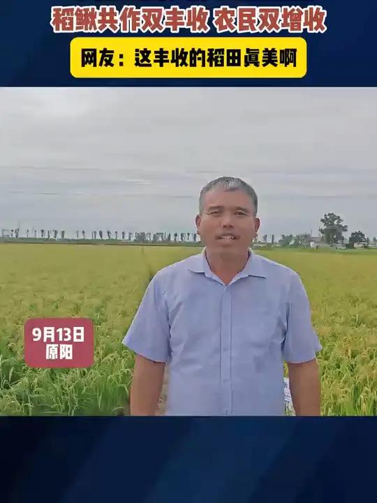 丰收的色彩是黄色和黑色 稻鳅工作双丰收 农民双增收 奇妙的中国颜色