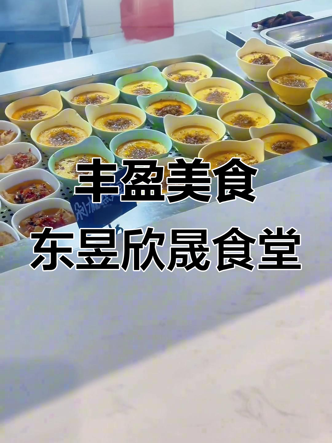 东昱欣晟员工食堂,菜品丰富不腻口,舌尖上的美味享受