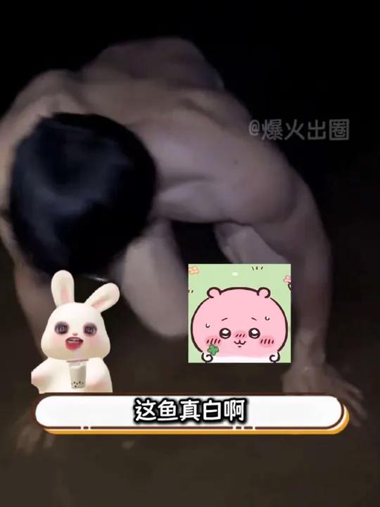 评论区还在找鱼，真正的鱼已经笑了