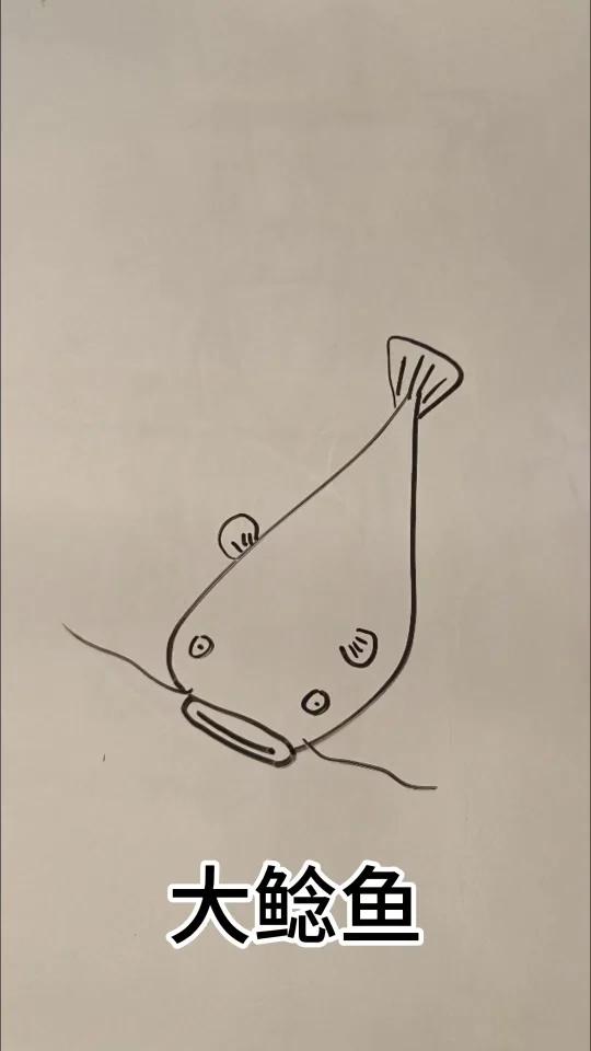 大鲶鱼