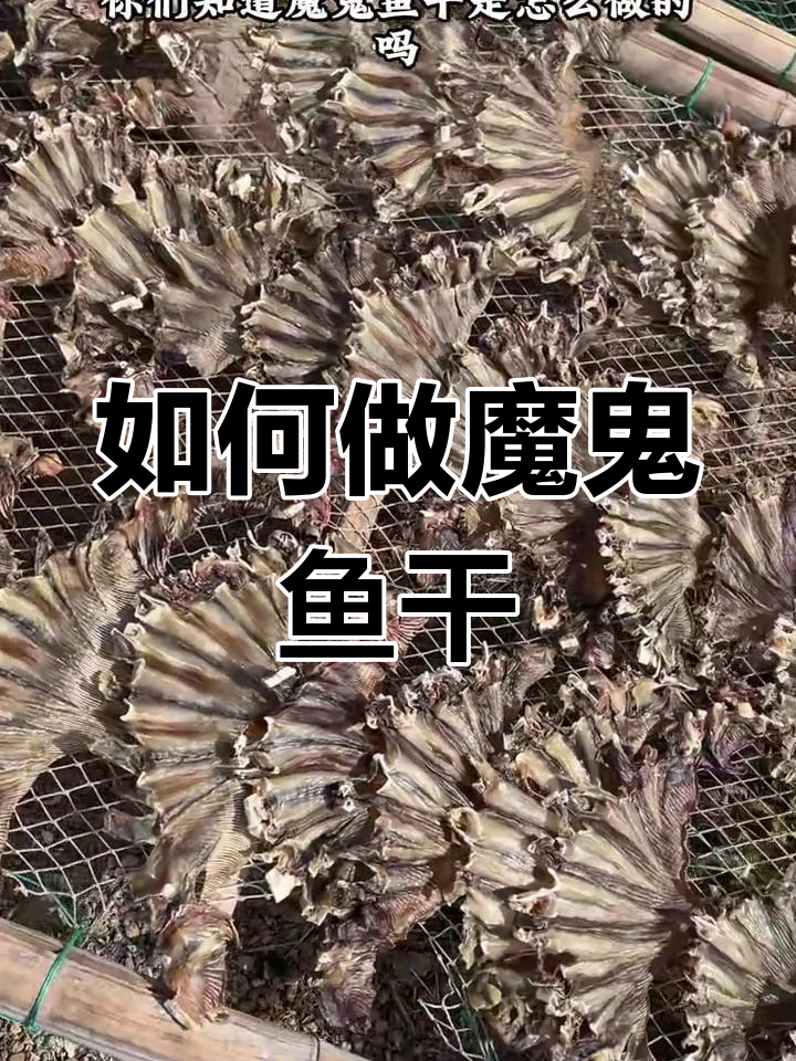 魔鬼鱼干制作揭秘:从去尾到晒干的奇妙过程