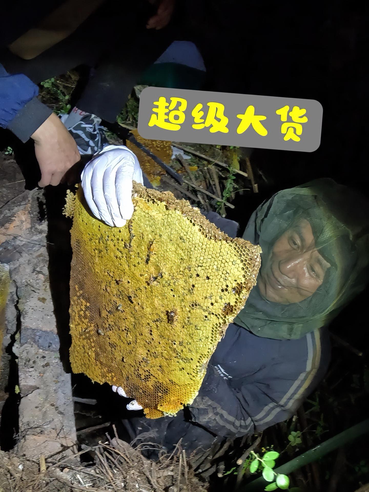 废弃鳗鱼场挖出一窝超级大货,差点都放弃了,太刺激了!