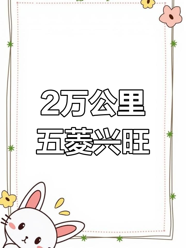 五菱兴旺:2万公里的经典之选