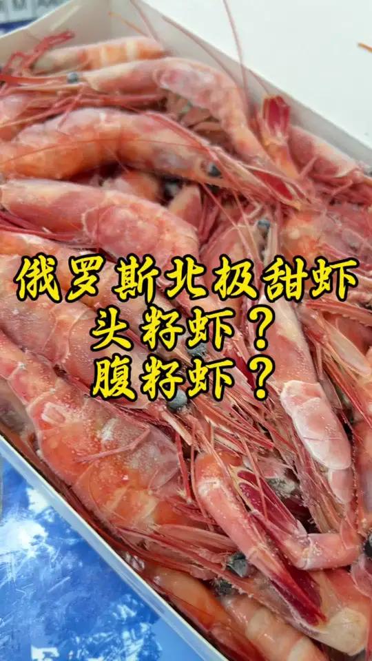 他试图用标准的广西普通话给大家介绍北极甜虾什么叫作头籽虾跟腹籽虾