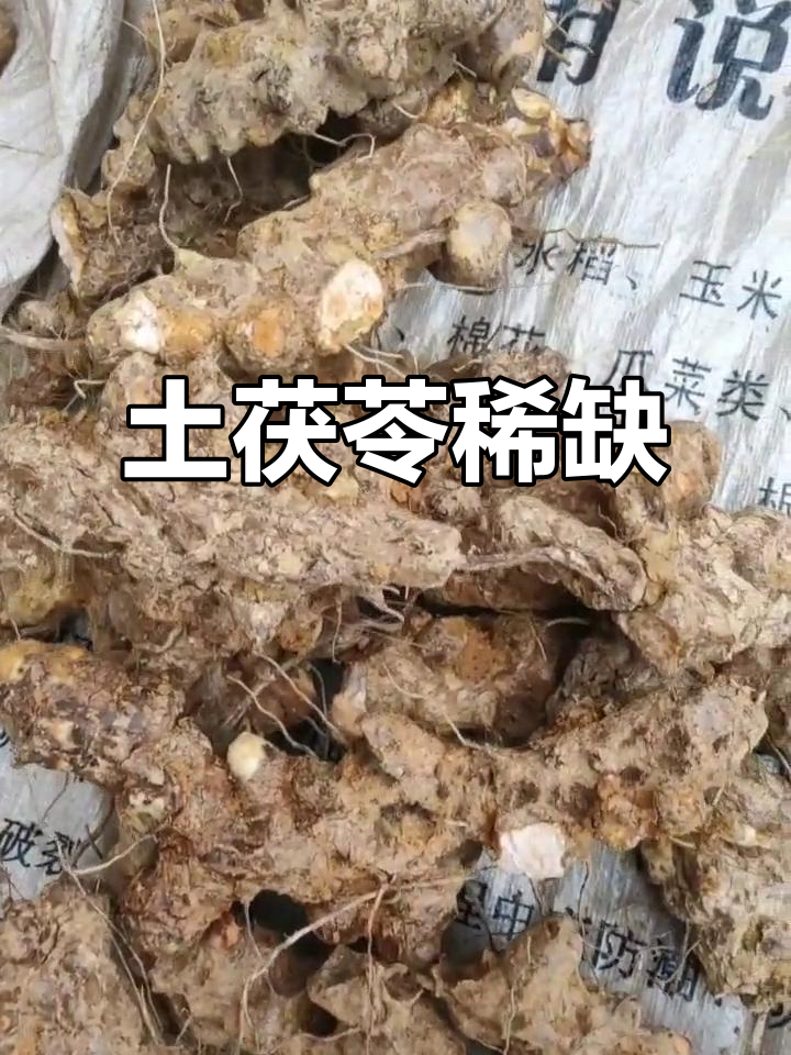 土茯苓稀少,山里难寻,大个9元一斤,小个4元
