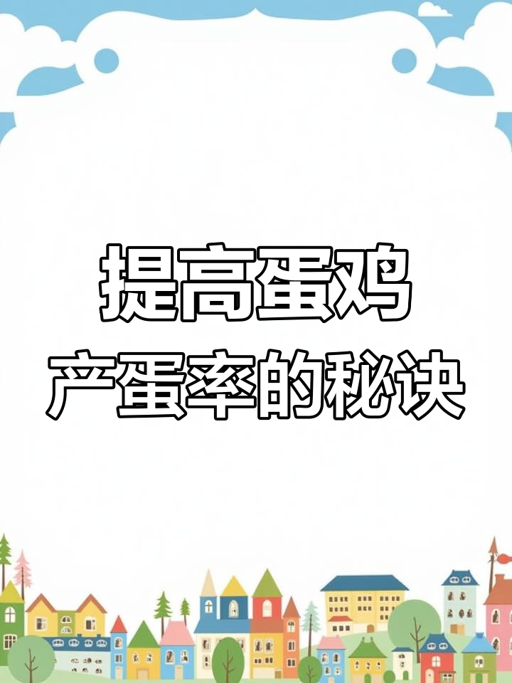 蛋鸡养殖技巧:如何提高产蛋率与健康管理