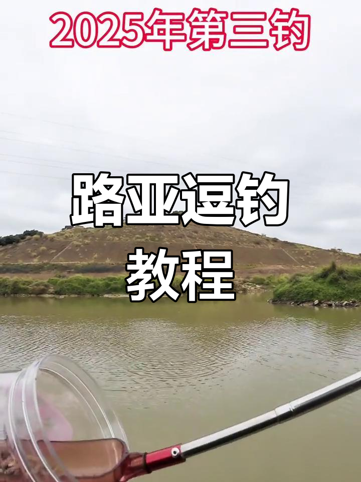 路亚走水钓鲫鱼技巧解析
