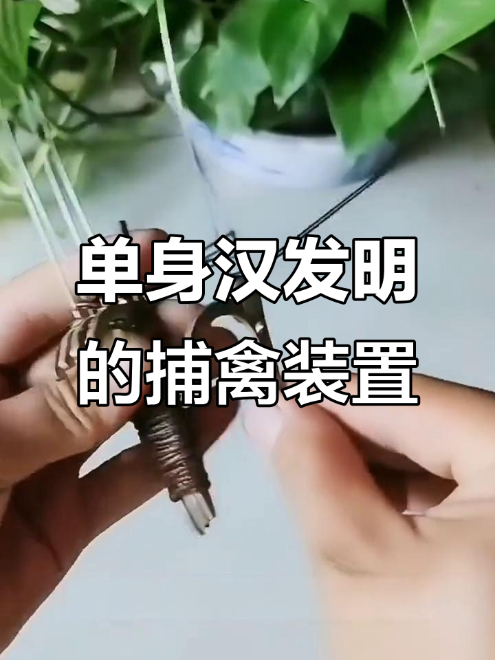 单身汉大哥发明傣家禽小装置,轻松抓鸡鸭鹅鸽子