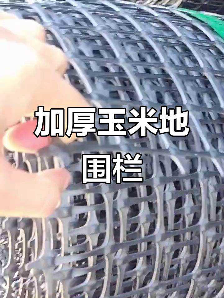 河南玉米地围栏网,抗冻耐老化,散养鸡鸭鹅必备