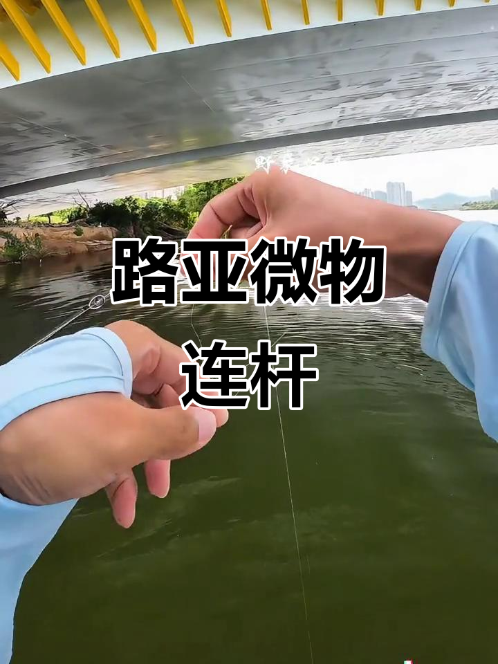 微物路亚连杆翘嘴,迷你复合德州钓组轻松上鱼