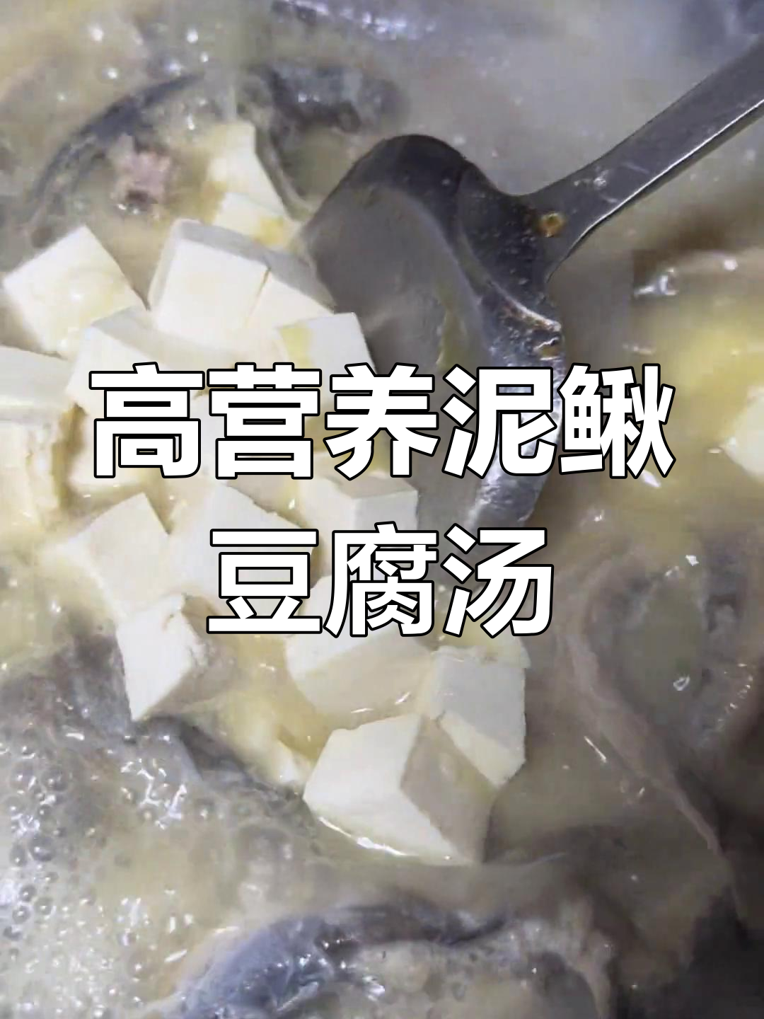 泥鳅的营养价值与滋补功效,搭配豆腐汤更佳