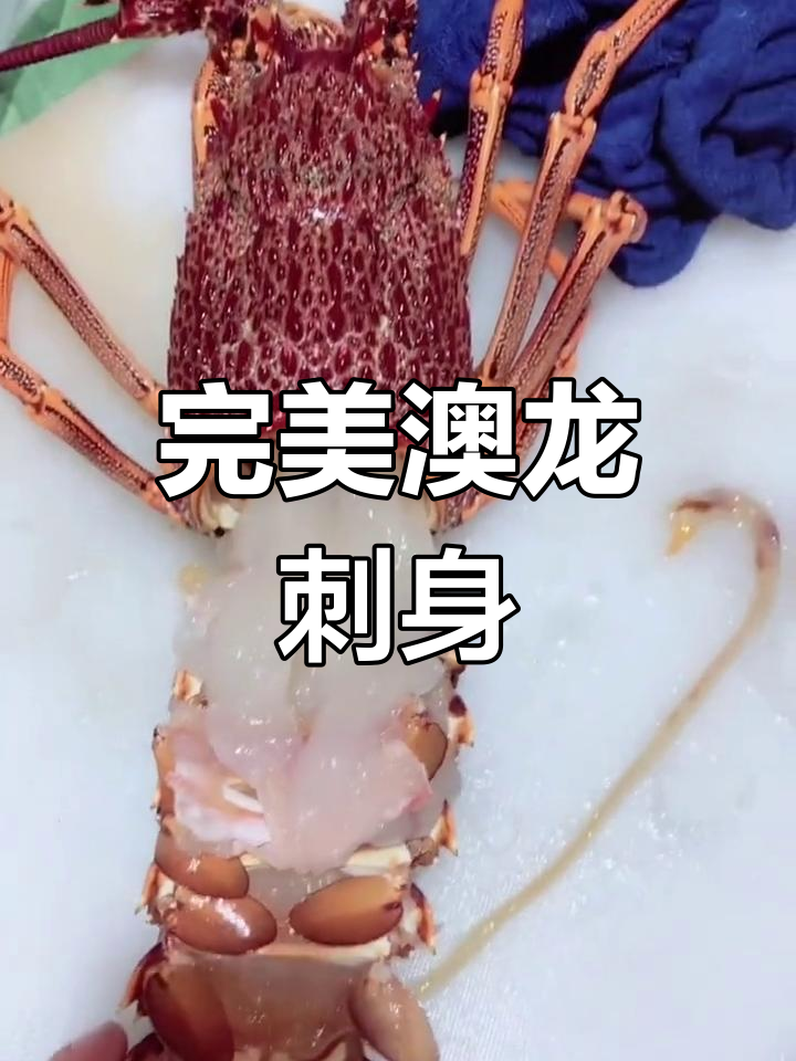高端澳龙刺身制作全流程