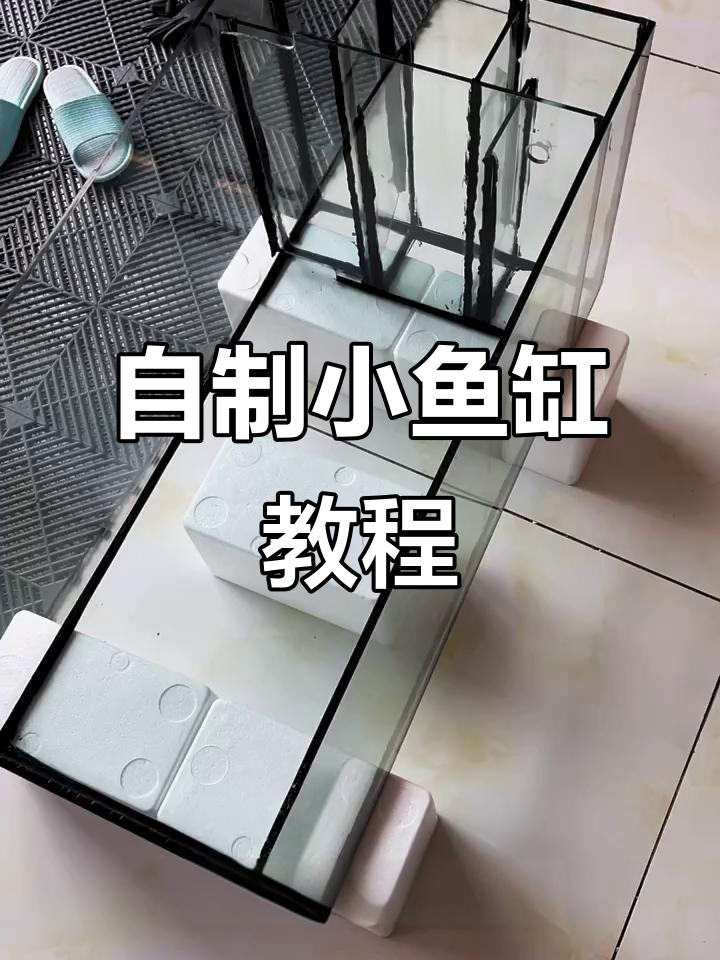 亲手打造热带鱼缸,小侧滤设计全解析