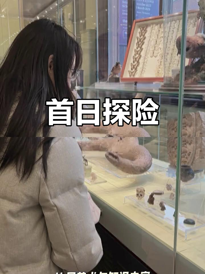 第一天行程:步行街、公园与英式晚餐