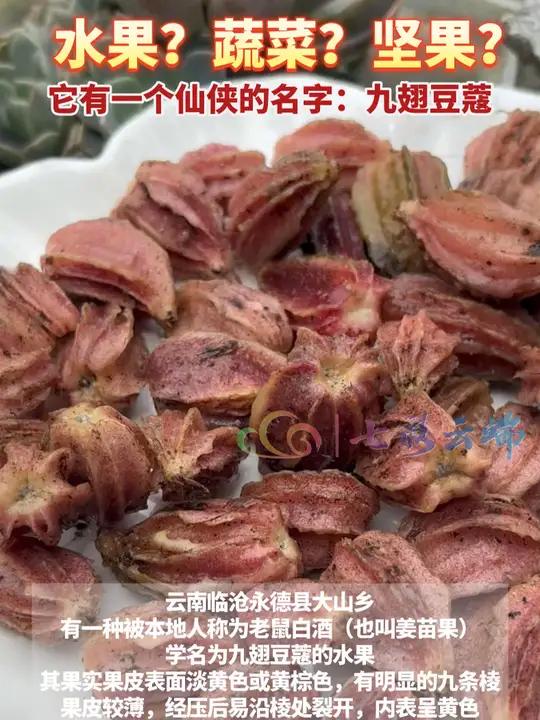 水果?蔬菜?坚果?它有一个仙侠的名字:九翅豆蔻 遇见云南 最美中国