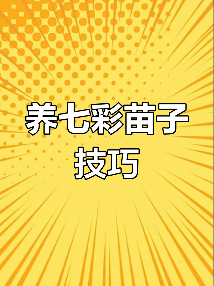 七彩雷龙鱼饲养心得