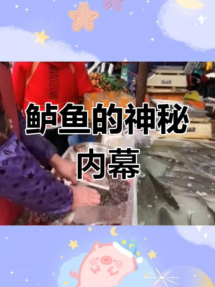 买鲈鱼时老板坚持帮忙处理,难道内脏有啥秘密?