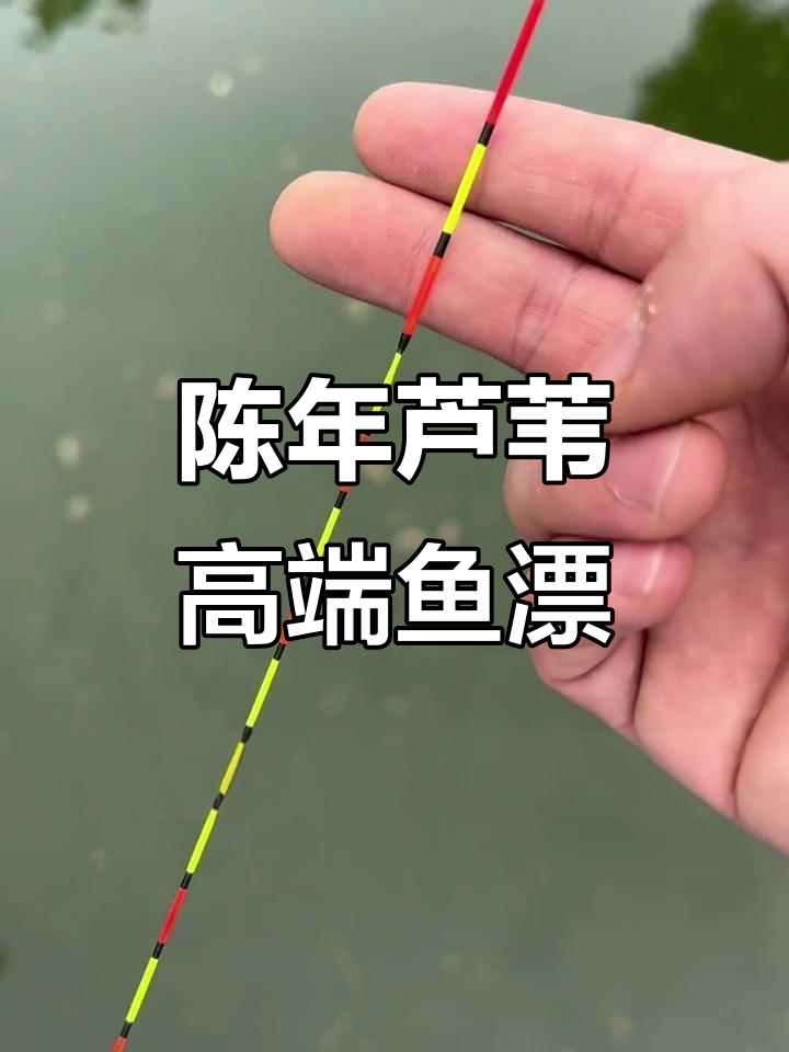 精选陈年芦苇浮漂,进口荧光漆加持,钓鱼必备!