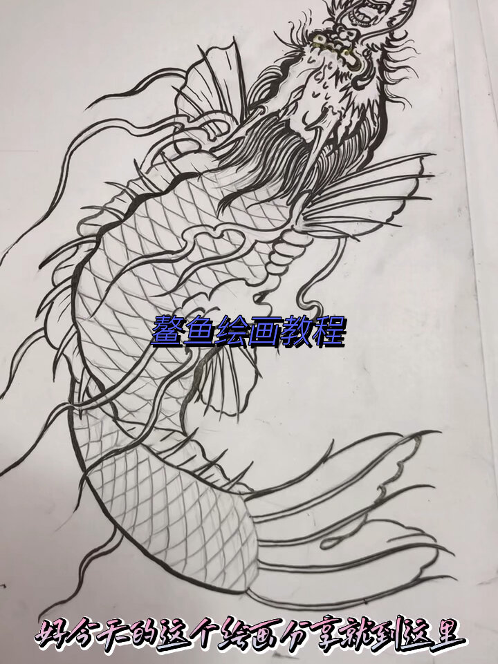 鳌鱼绘画教程