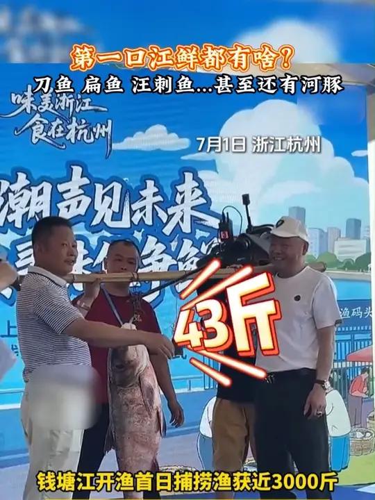 第一口江鲜都有啥?刀鱼、扁鱼、汪刺鱼……甚至还有河豚