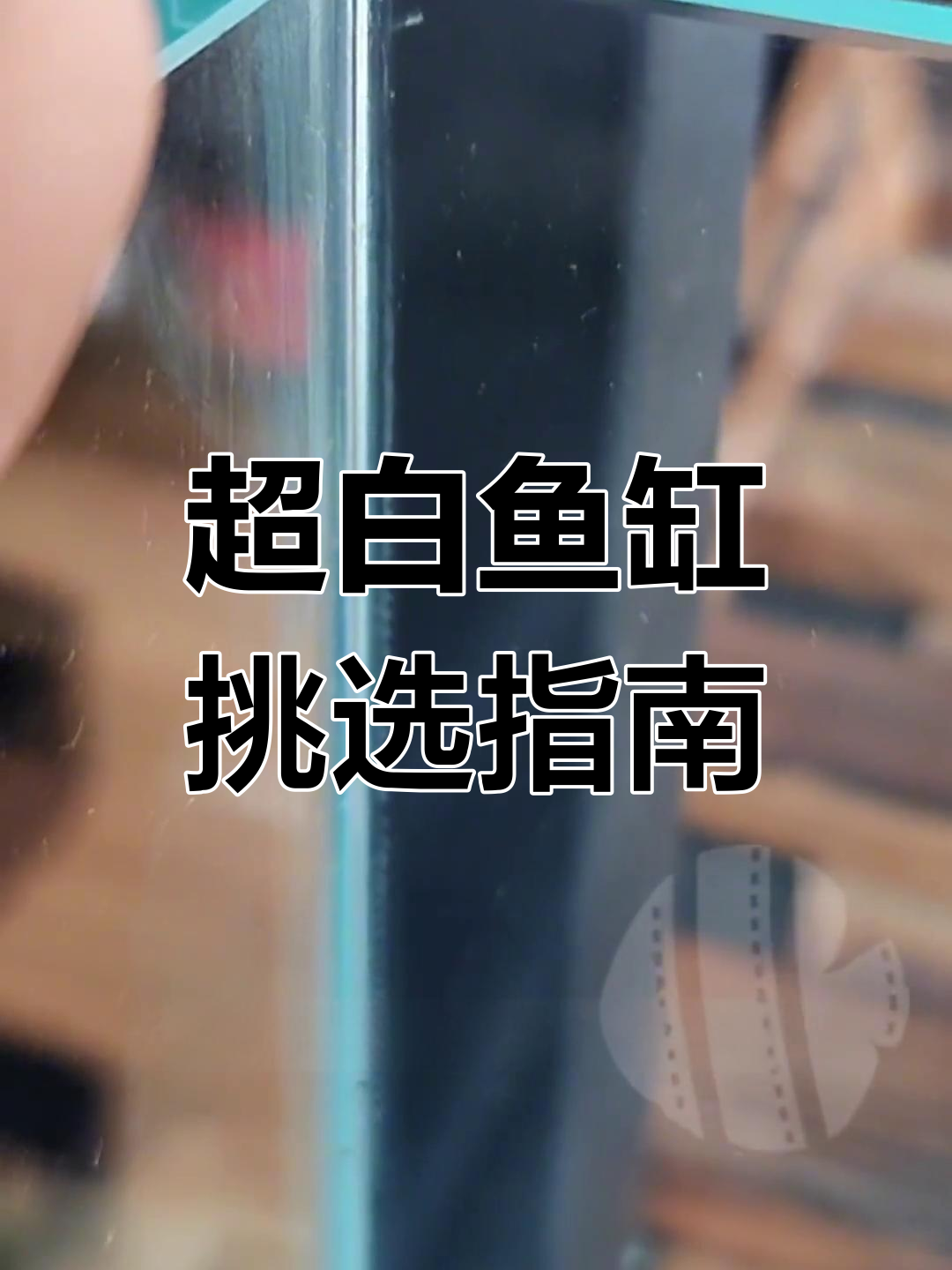 选购超白鱼缸,掌握这四点,轻松达到85分标准!